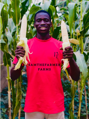 Samuel Adeniyi, Samthefarmer Farms
