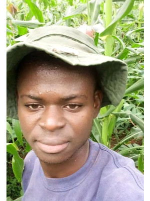 Teslim Adeyinka, Tessynet Farms