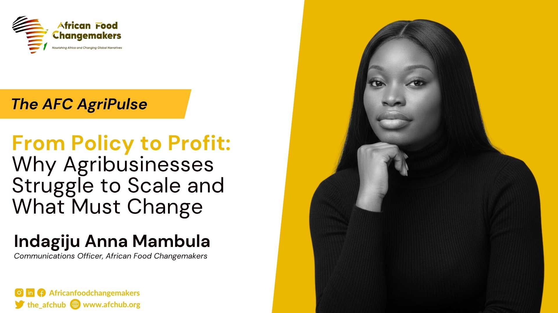 From Policy to Profit: Why Agribusinesses Struggle to Scale and What Must Change