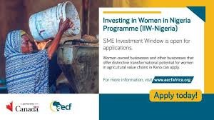 Investing in Women in Nigeria (IIW-Nigeria) Programme – Round 2