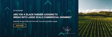 IDC Agro-Processing and Agriculture Fund