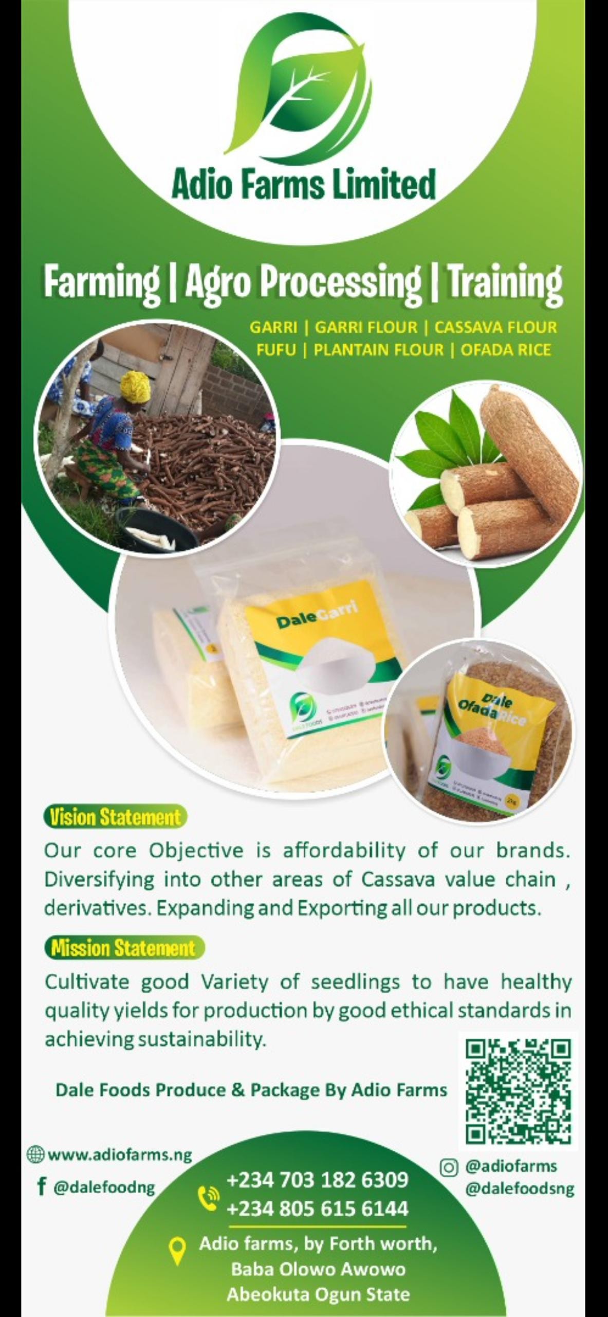 Hamdat Bello, Adio Farms Limited